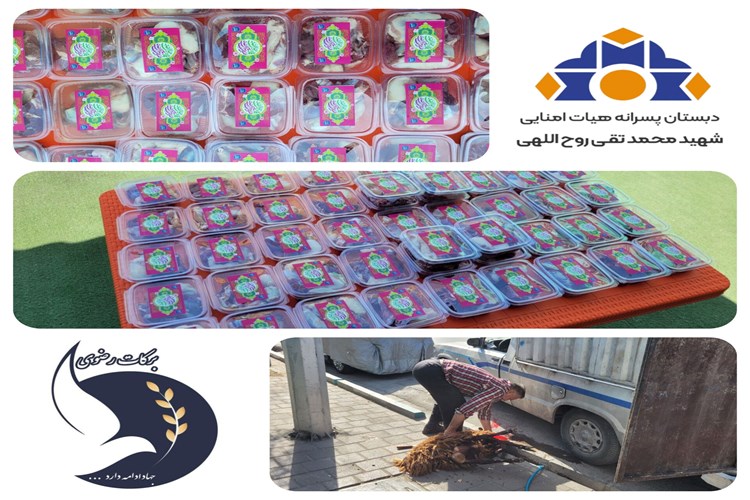 فعالیت گروه جهادی برکات رضوی